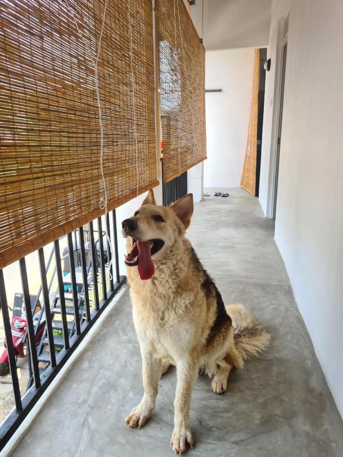 阿杭格默 Dip N Doze旅舍 外观 照片